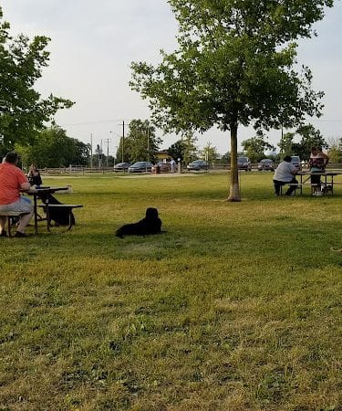 Duck Farm Off-Leash Dog Area - Lake Villa, IL