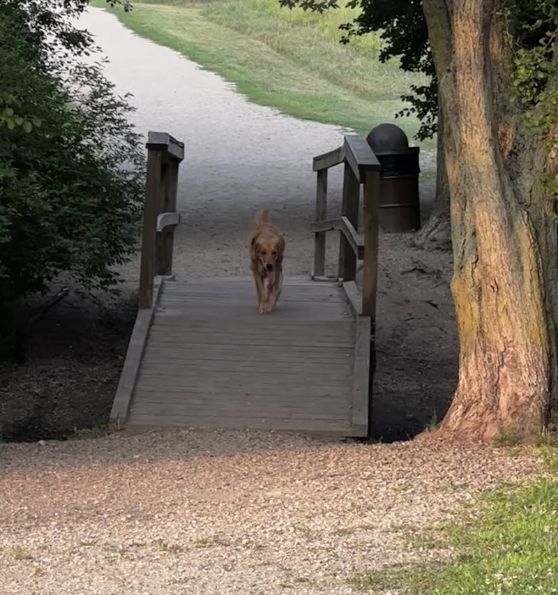Duck Farm Off-Leash Dog Area - Lake Villa, IL