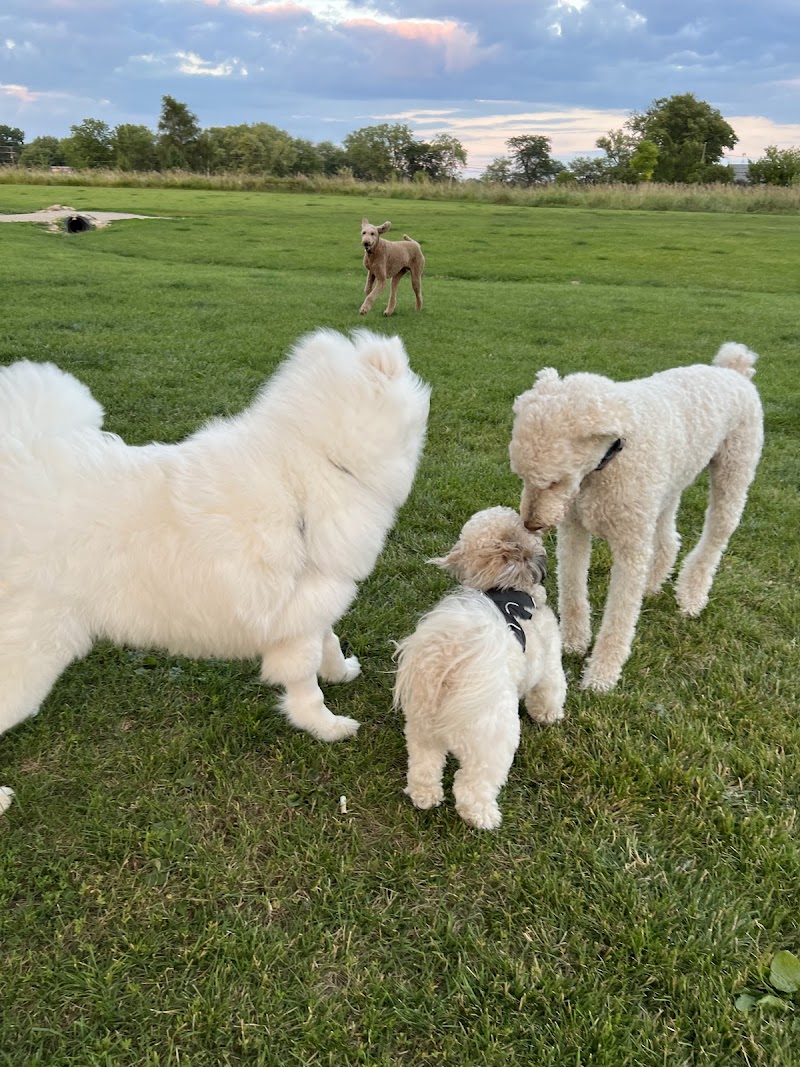 Duck Farm Off-Leash Dog Area - Lake Villa, IL