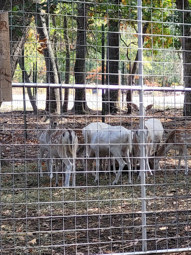 Sandy Oak Ranch