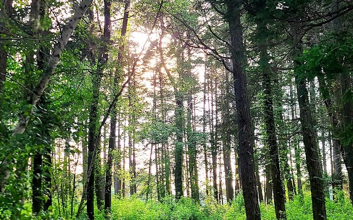 Lake Horicon Park - Lakehurst, NJ