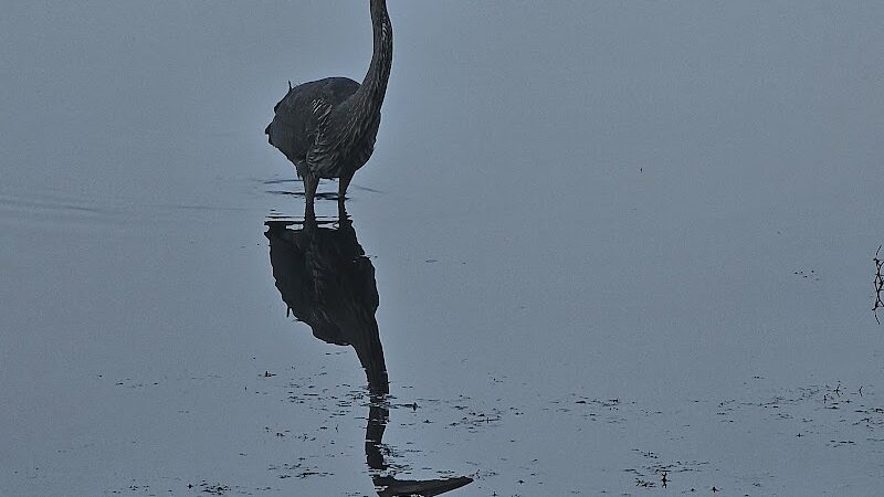 Lake Horicon Park - Lakehurst, NJ