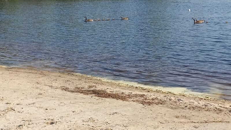 Lake Horicon Park - Lakehurst, NJ