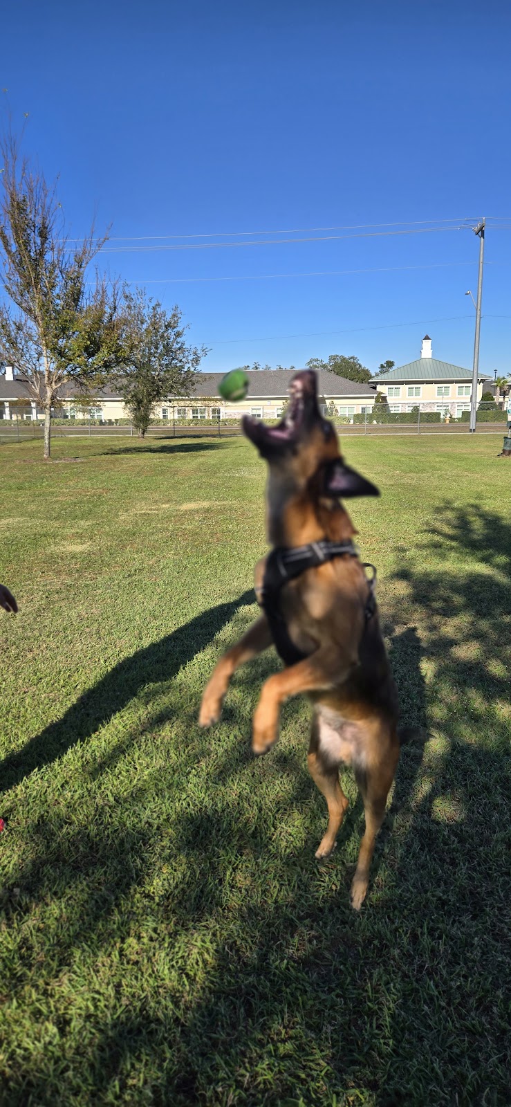 Cook Park Dog Park - Lakeland, FL