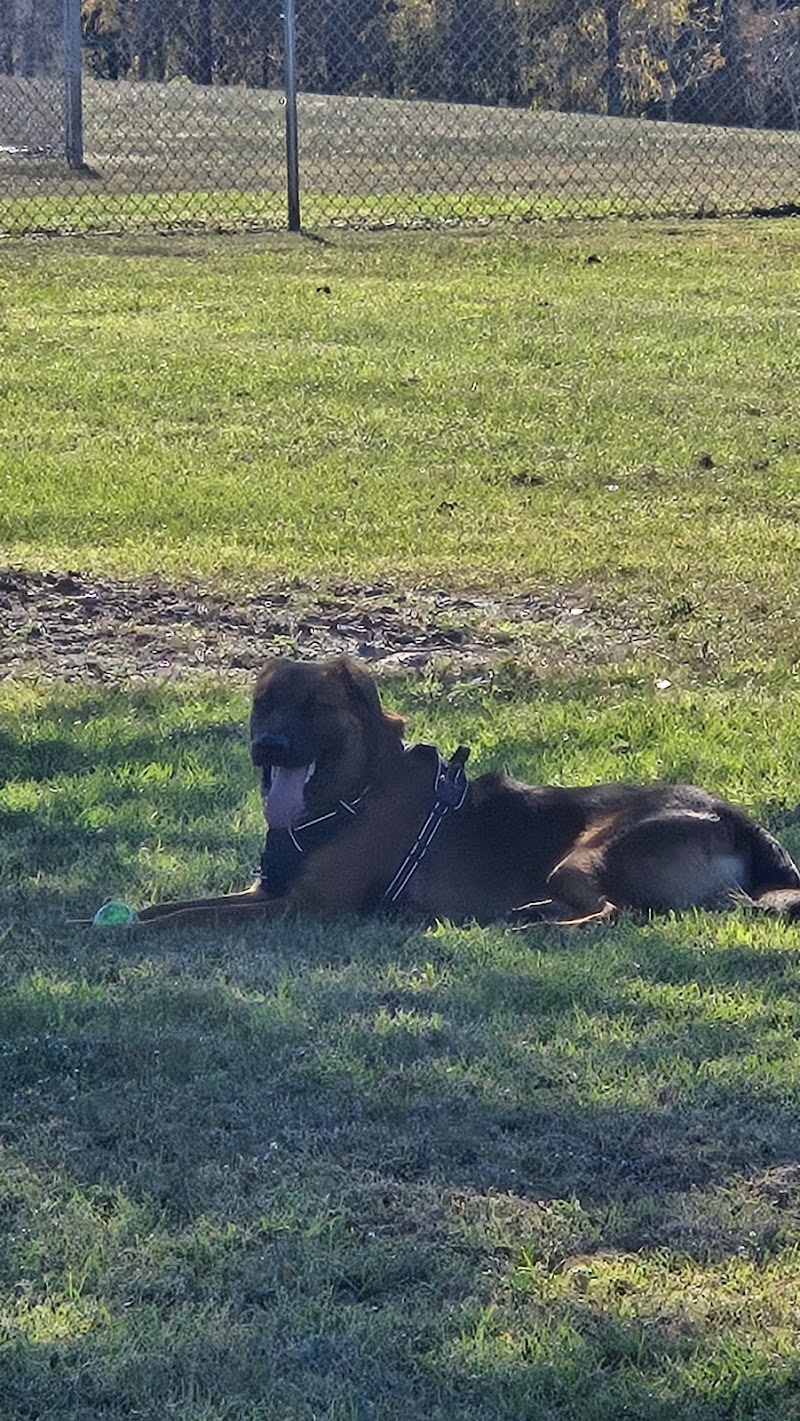 Cook Park Dog Park - Lakeland, FL