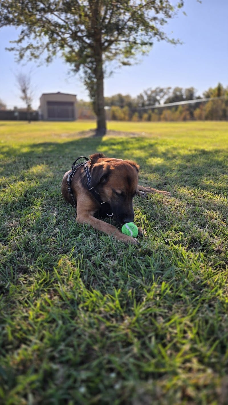 Cook Park Dog Park - Lakeland, FL