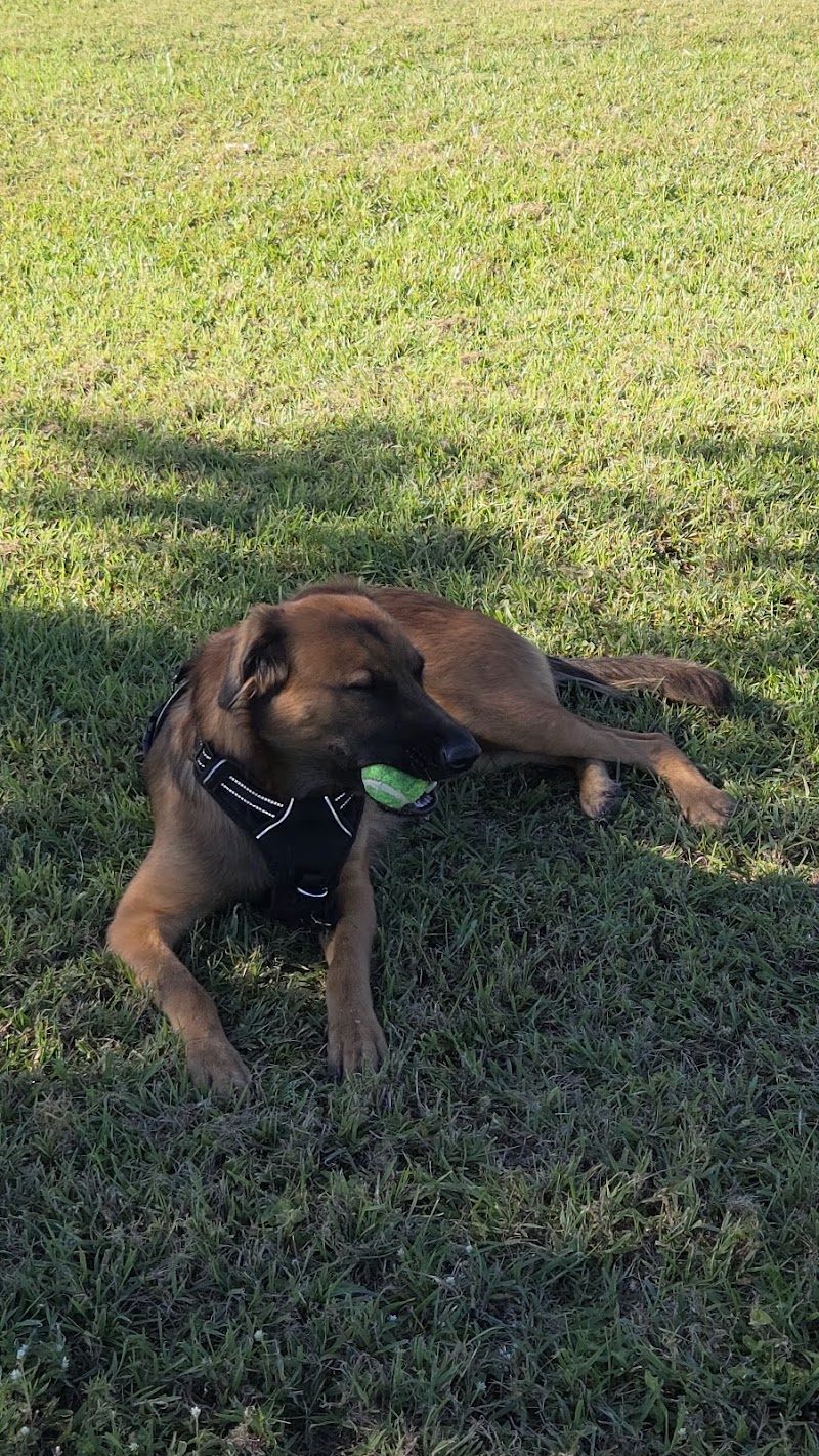 Cook Park Dog Park - Lakeland, FL