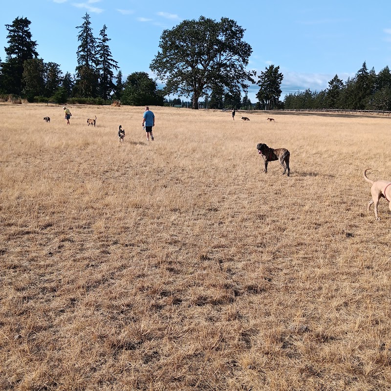 Fort Steilacoom Dog Park Parking - Lakewood, WA