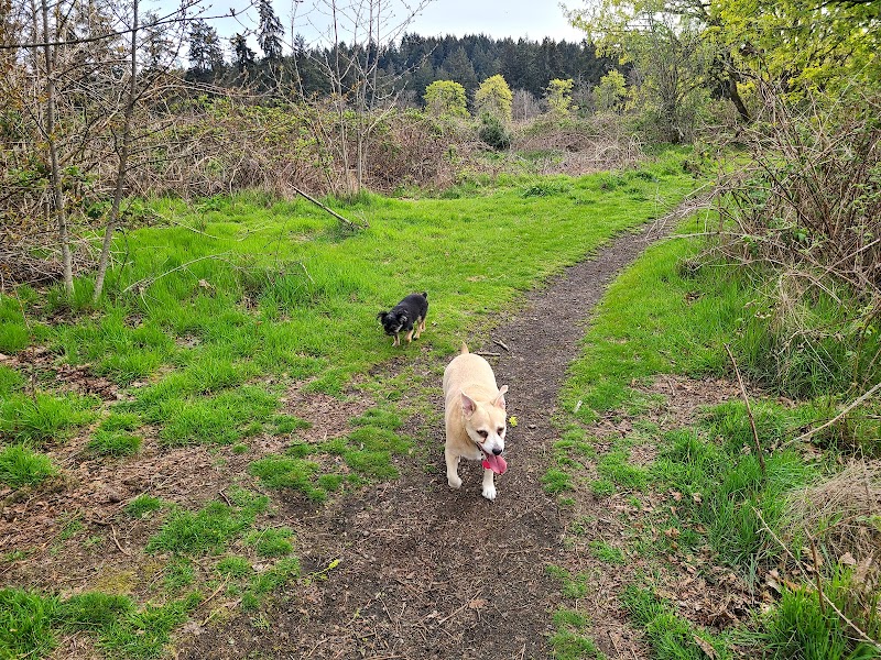 Fort Steilacoom Dog Park Parking - Lakewood, WA