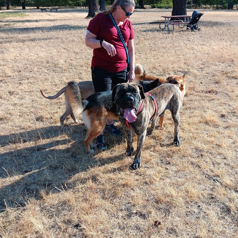 Fort Steilacoom Dog Park Parking - Lakewood, WA