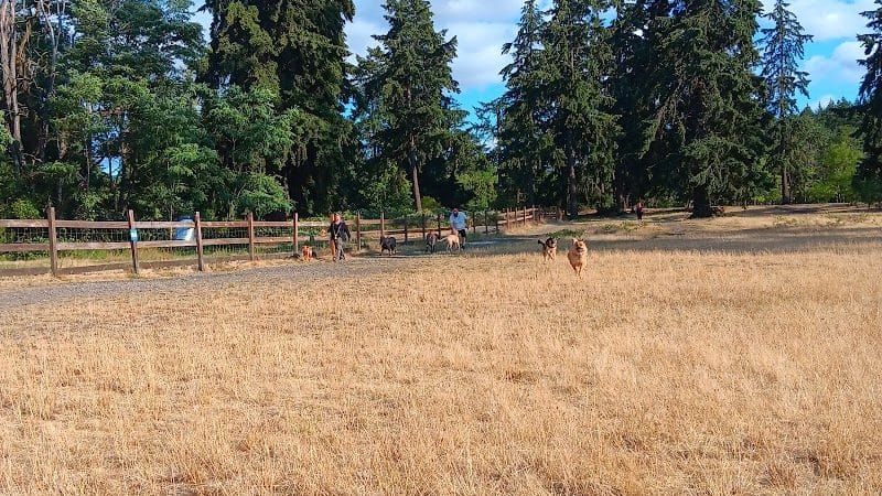 Fort Steilacoom Dog Park Parking - Lakewood, WA