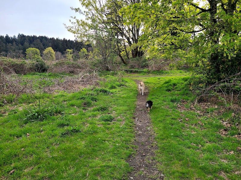 Fort Steilacoom Dog Park Parking - Lakewood, WA