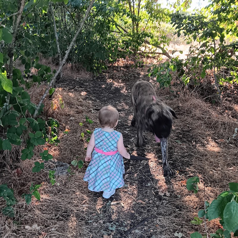 Fort Steilacoom Dog Park Parking - Lakewood, WA