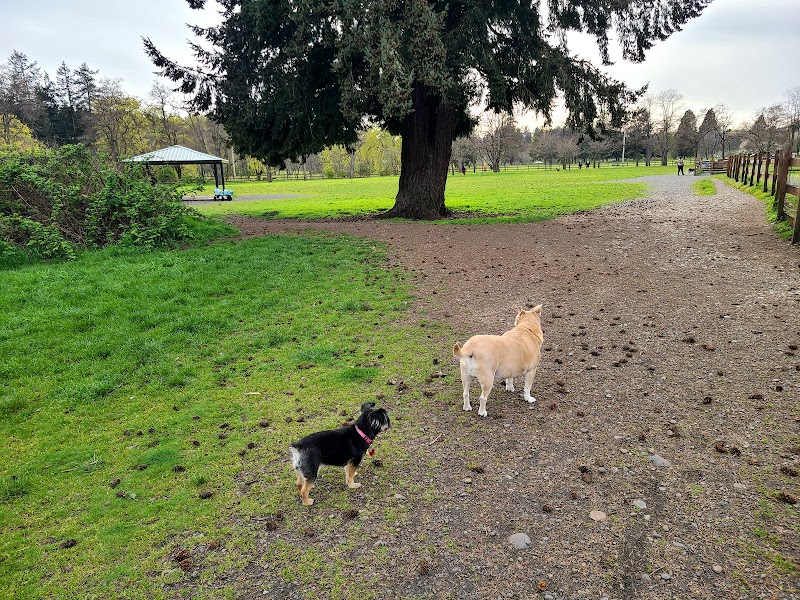 Fort Steilacoom Dog Park Parking - Lakewood, WA