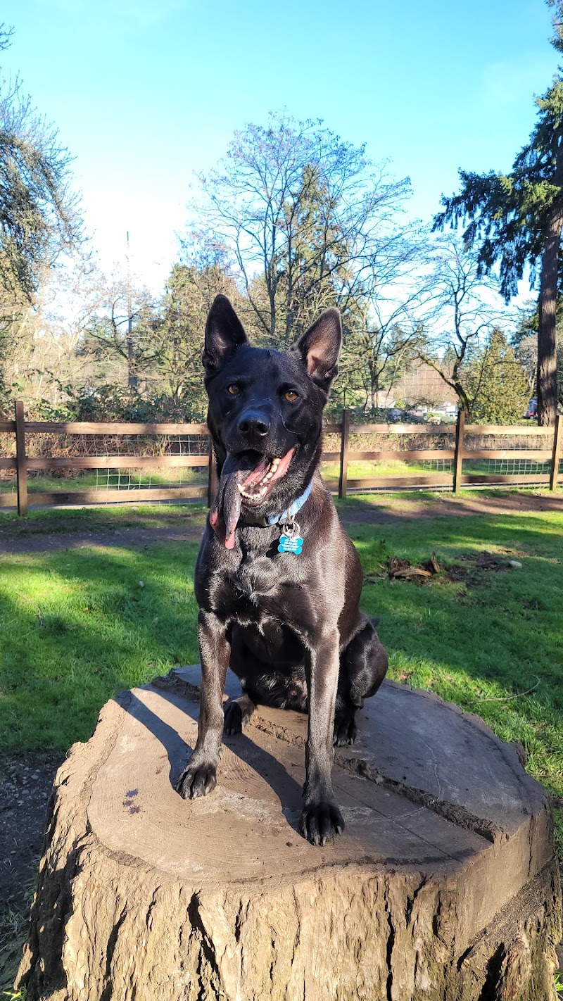 Fort Steilacoom Large Dog Park - Lakewood, WA