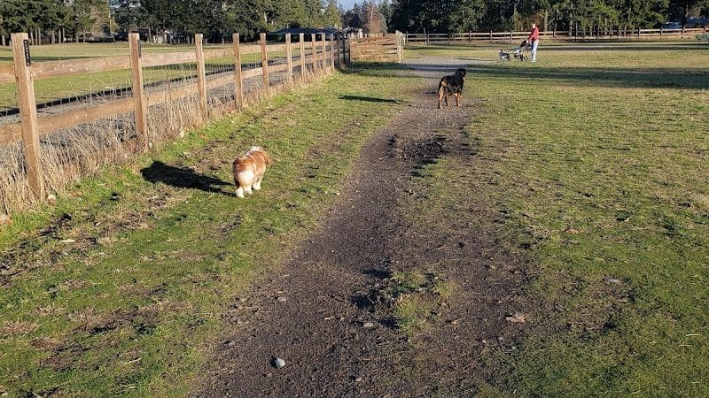 Fort Steilacoom Large Dog Park - Lakewood, WA