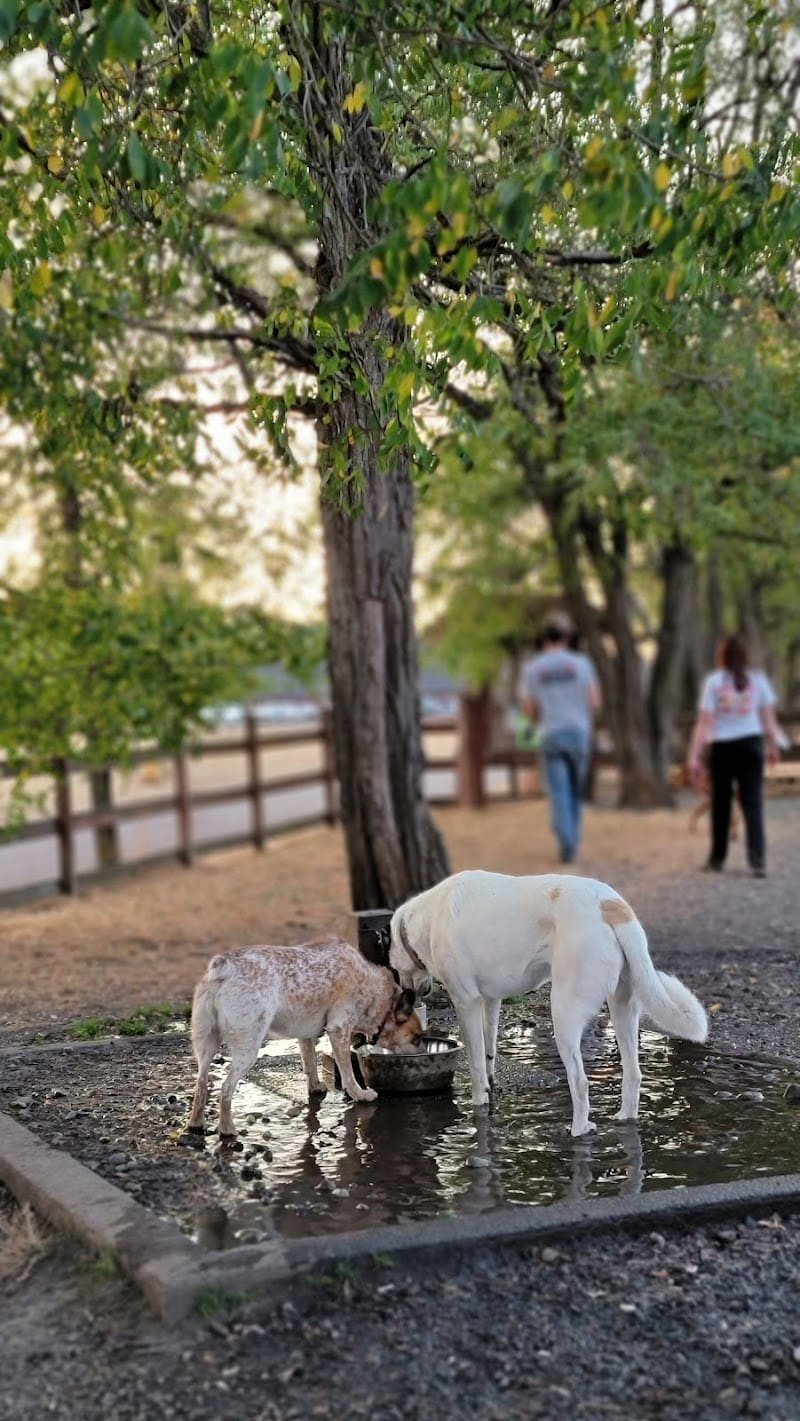 Fort Steilacoom Large Dog Park - Lakewood, WA