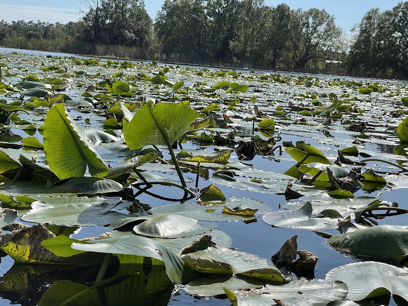 Land O' Lakes Recreation Complex :Dog Park - Land O' Lakes, FL