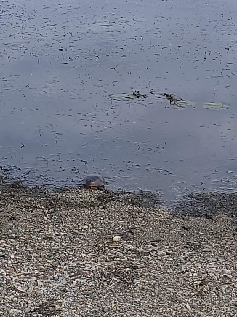 Port Morris Park - Landing, NJ