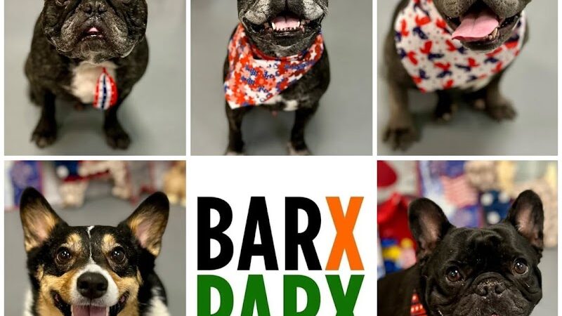 Barx Parx - Las Vegas, NV