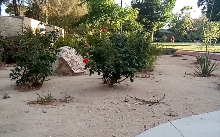 Bob Baskin Park - Las Vegas, NV
