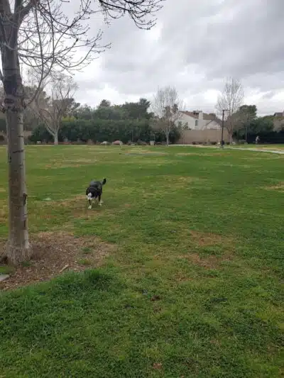 Bob Baskin Park - Las Vegas, NV