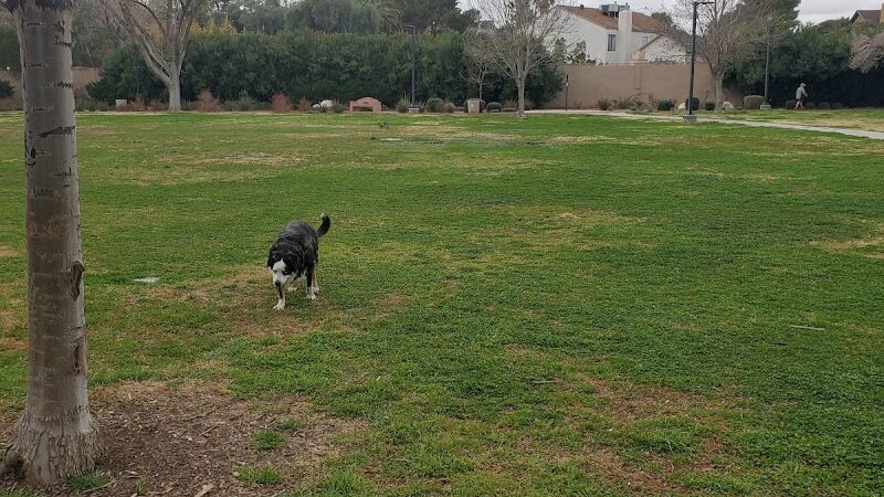Bob Baskin Park - Las Vegas, NV