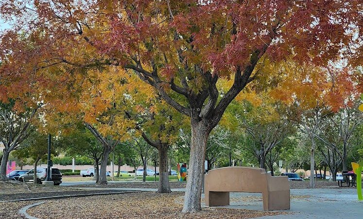 Bruce Trent Park - Las Vegas, NV