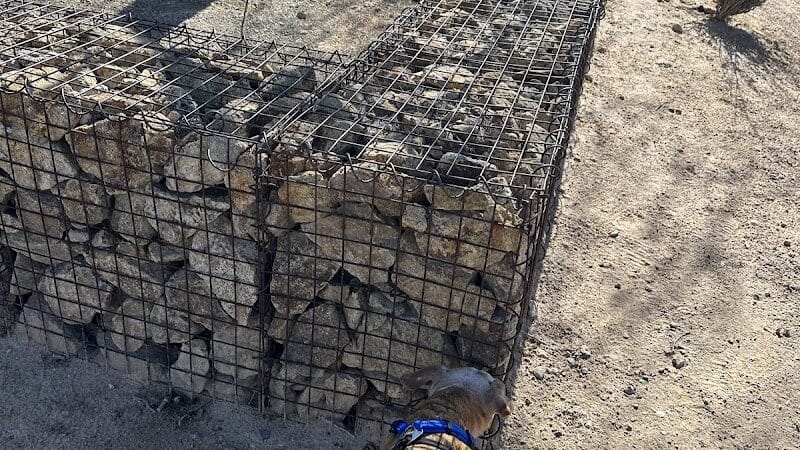 Charlie Frias Dog Area - Las Vegas, NV