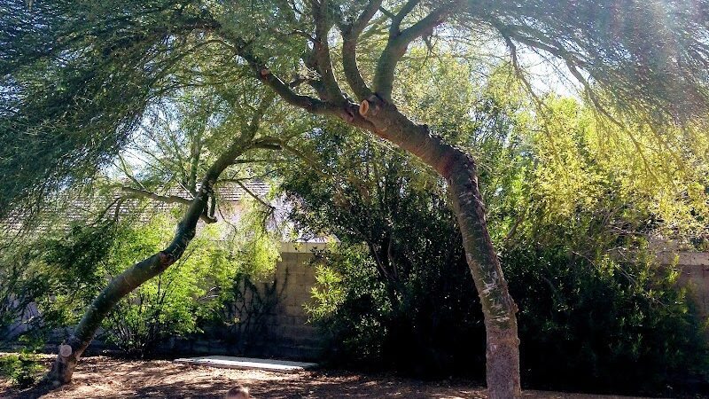 Children's Memorial Park - Las Vegas, NV