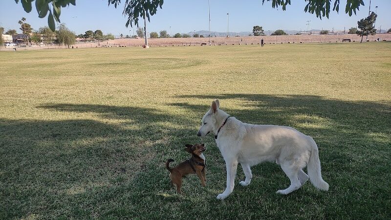 Clark County Dog Fancier's Park - Las Vegas, NV