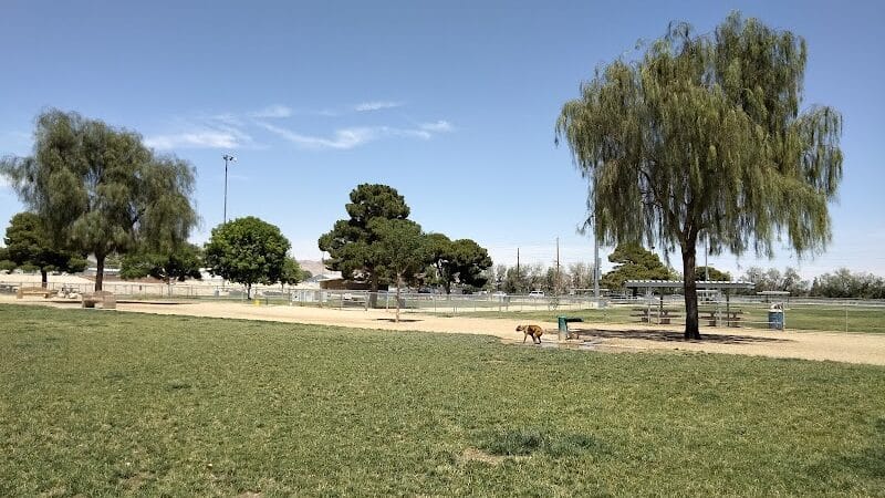 Clark County Dog Fancier's Park - Las Vegas, NV