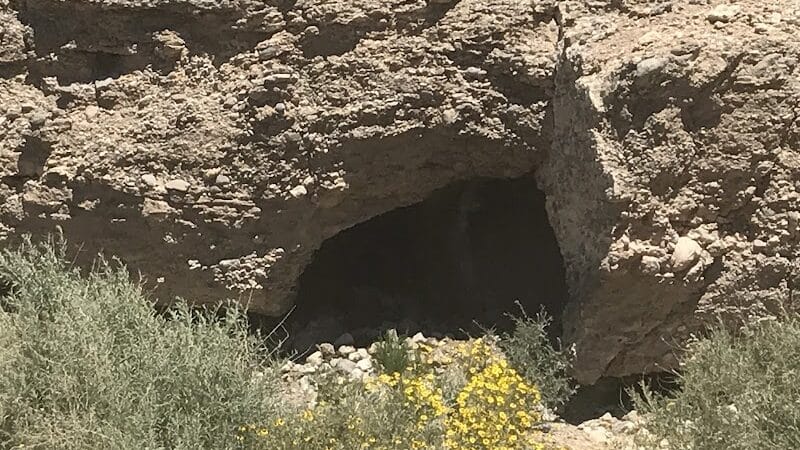 Cottonwood Canyon - Las Vegas, NV