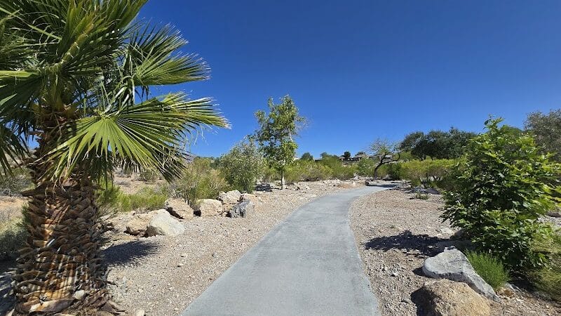 Cottonwood Canyon - Las Vegas, NV