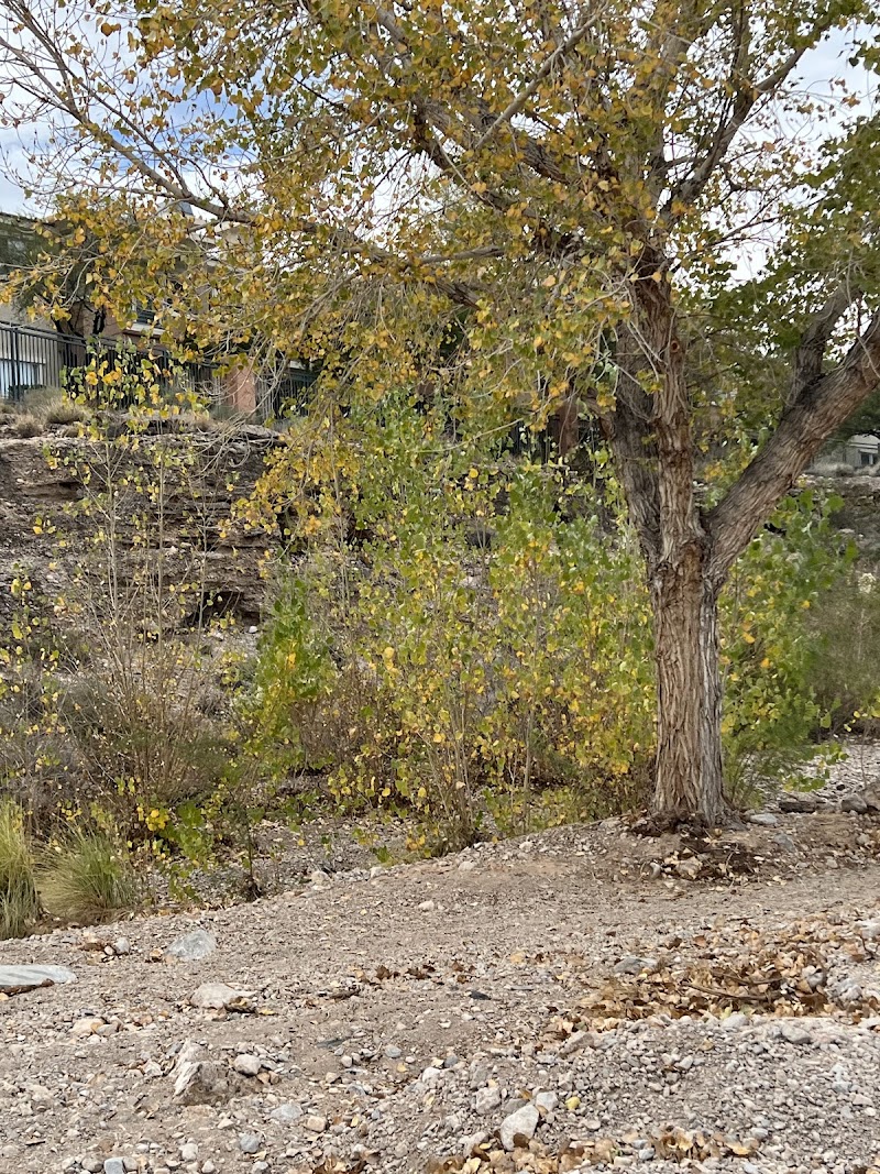 Cottonwood Canyon Trail Park - Las Vegas, NV