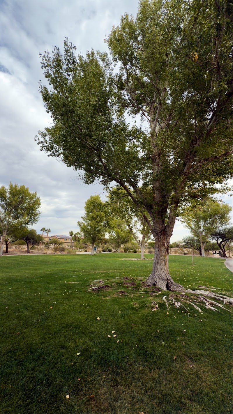 Cottonwood Canyon Trail Park - Las Vegas, NV