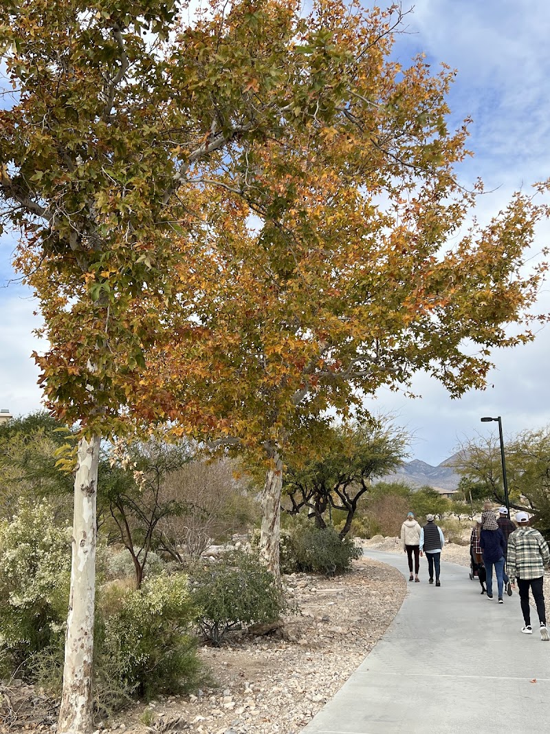 Cottonwood Canyon Trail Park - Las Vegas, NV