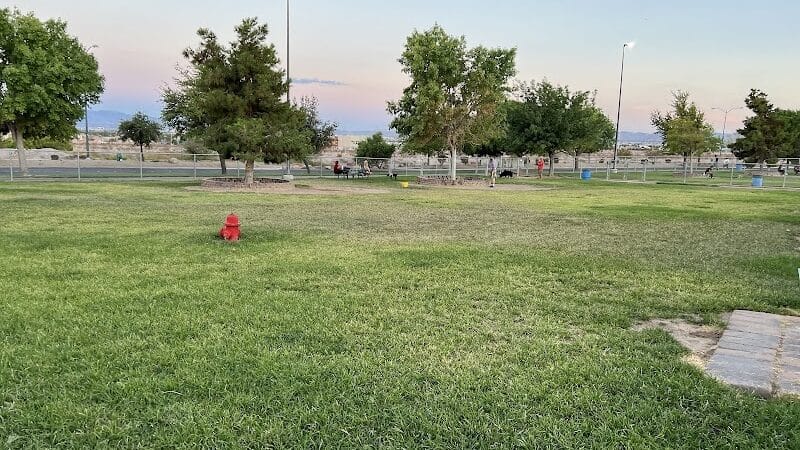 Desert Breeze Dog Park - Las Vegas, NV
