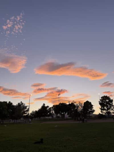 Desert Breeze Park - Las Vegas, NV