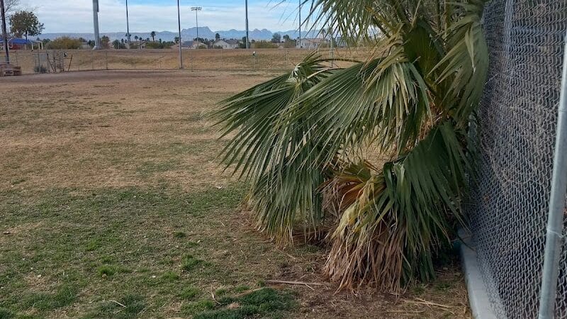 Dog park - Las Vegas, NV