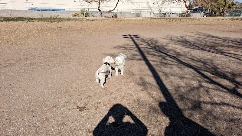 Dog park - Las Vegas, NV