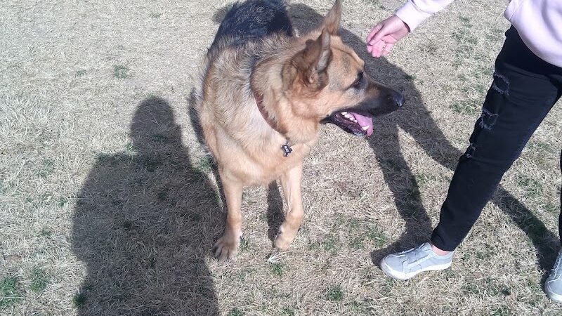 Dog park - Las Vegas, NV
