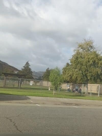 Dog Park - Las Vegas, NV