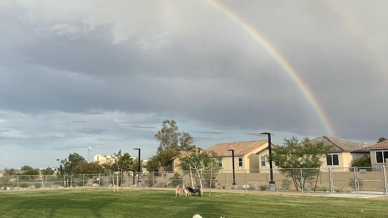 Dog Park - Las Vegas, NV