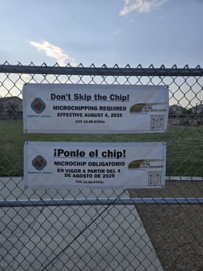 Dog Park - Las Vegas, NV