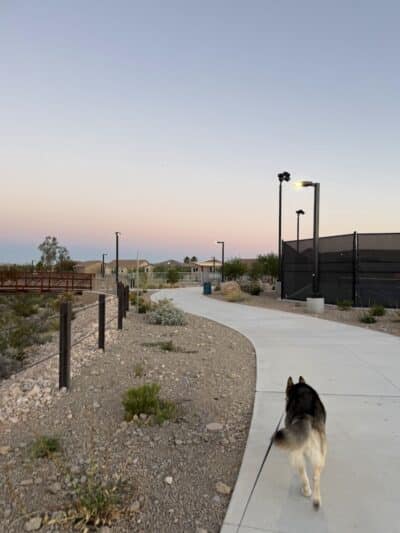 Dog Park - Las Vegas, NV