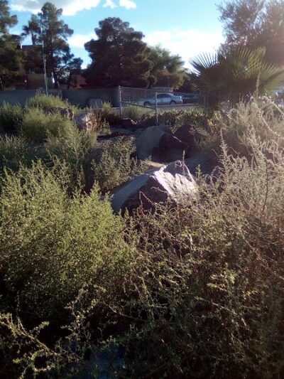 Dog Park - Las Vegas, NV