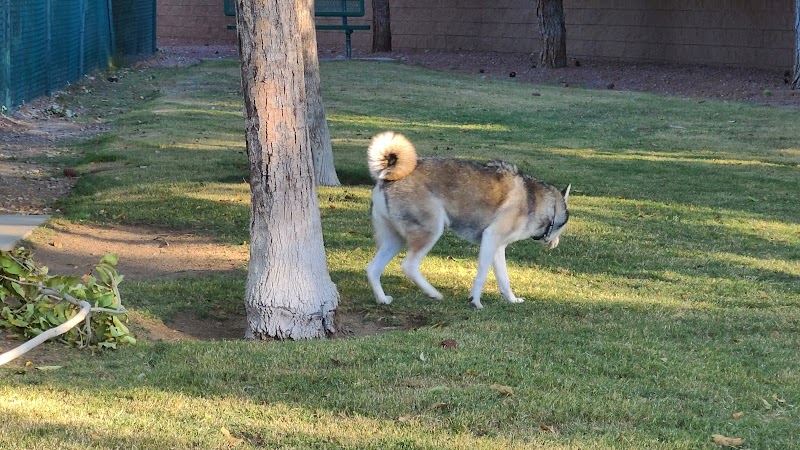 Fire Station Dog Park - Las Vegas, NV