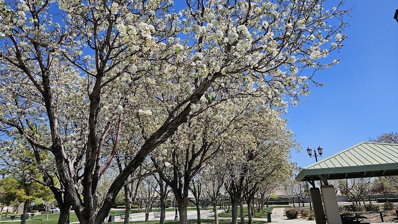 Gardens Park - Las Vegas, NV