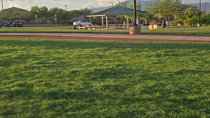 Huckleberry Park - Las Vegas, NV